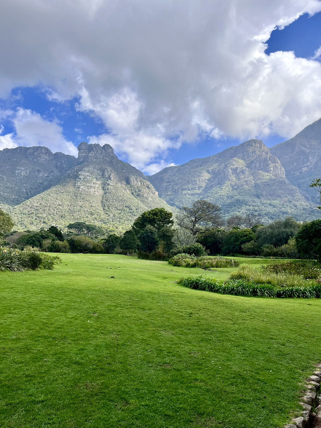 Kirstenbosch Gardens – Nature’s Masterpiece at Table Mountain’s Base 🌷