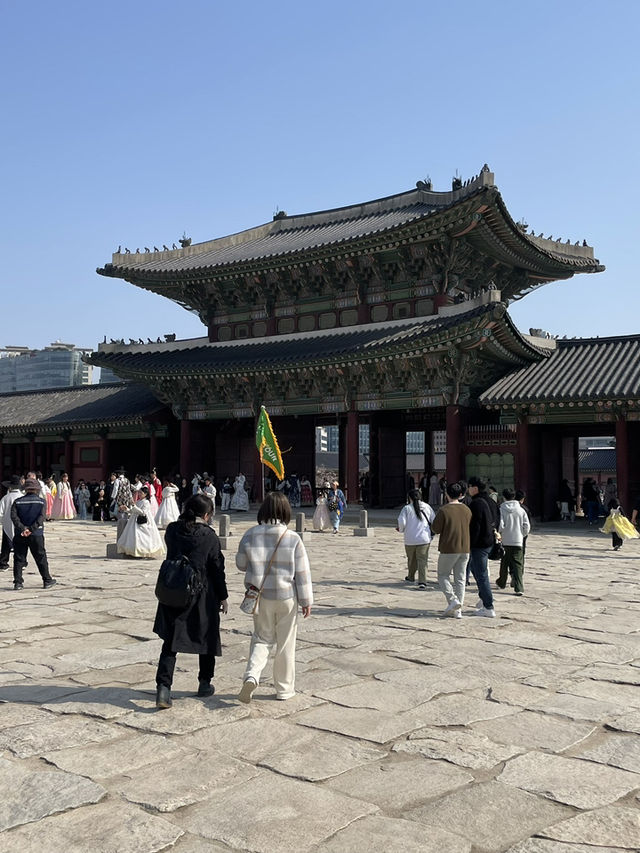 Korea in Bloom: Memories to Last a Lifetime 🇰🇷
