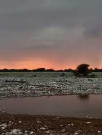 Salt Pan and Safari at Etosha National Park 🦓