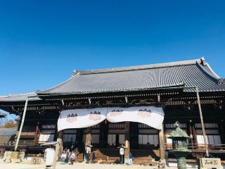 Full of the charm of national treasures