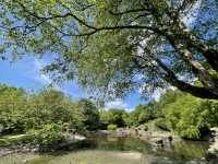 Stunning Rivington hike in Lancashire! 