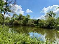 Blueway + Knocklofty Forest Loop