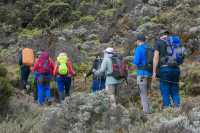 6 Days Kilimanjaro Climbing Group Joining Tour via the Machame Route