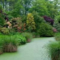 🌿 Botanic Garden of Brittany: A Peaceful Green Escape 🇫🇷✨