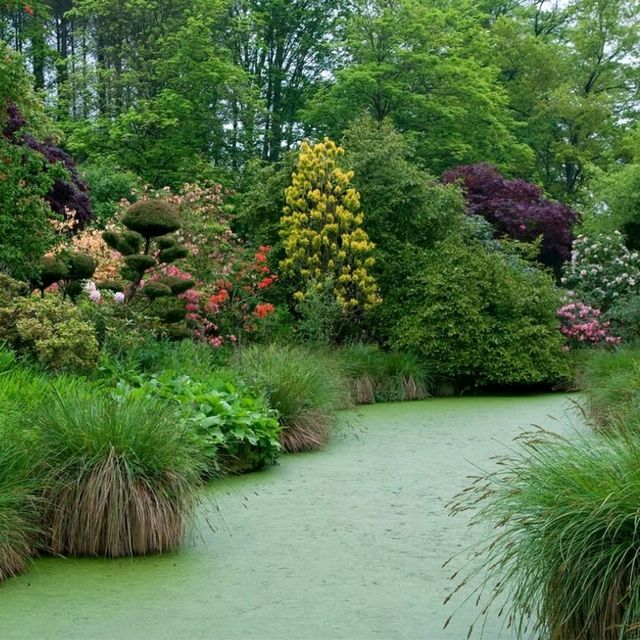 🌿 Botanic Garden of Brittany: A Peaceful Green Escape 🇫🇷✨