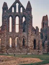 Seagulls, Sunsets, and Shadows: A Day in Whitby