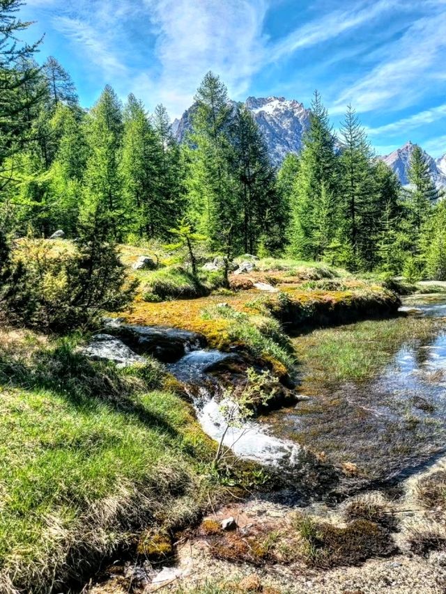 🌲 The Whispering Valley – Val Maira, Italy