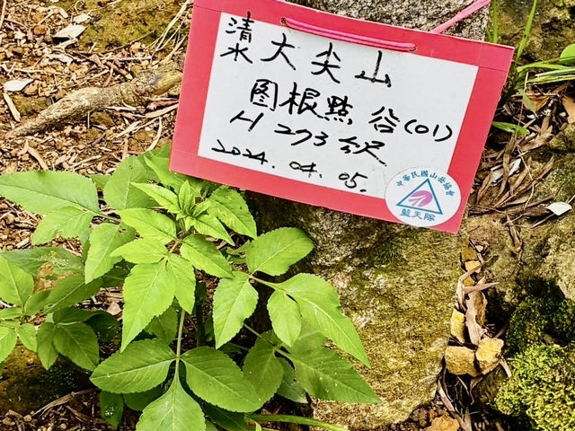 中和圓通寺連走土城清水大尖山