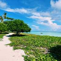 Semporna: Malaysia’s Underwater Paradise