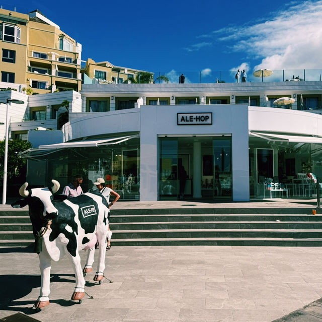 Tenerife on a Budget: Sun, Volcanoes & Adventure Tenerife on a Budget: Sun, Volcanoes & Adventure