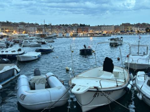 克羅埃西亞-羅維尼