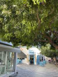 🏛️ Paphos Architecture – Ancient Ruins & Coastal Charm 🌊✨