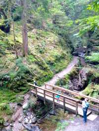 A magical walk in Puck's Glen, Dunoon