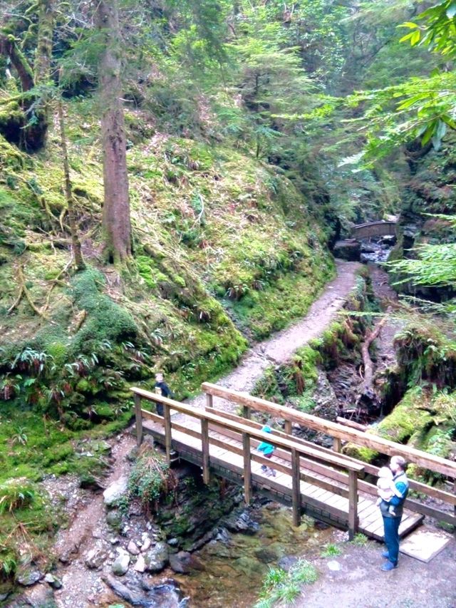 A magical walk in Puck's Glen, Dunoon