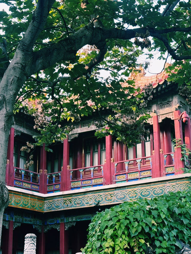 Beijing 紫禁城  Запретный город🇨🇳⛩️