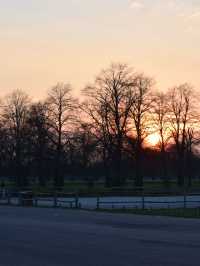 A Peaceful Day Trip to Richmond Park: London’s Countryside Escape 🌳