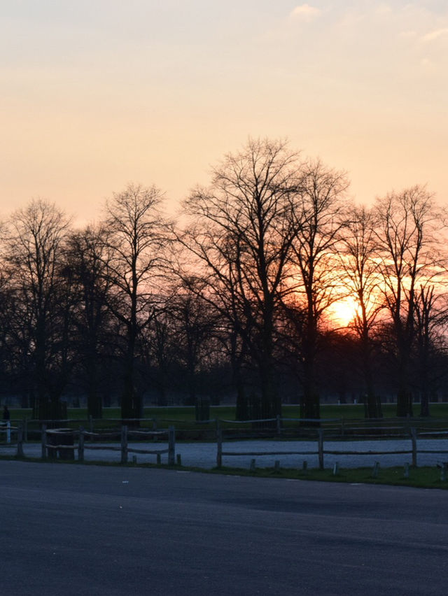 A Peaceful Day Trip to Richmond Park: London’s Countryside Escape 🌳