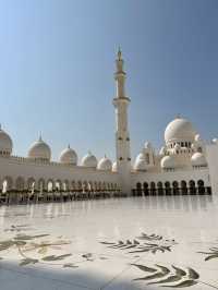 Abu Dhabi Moments🌴