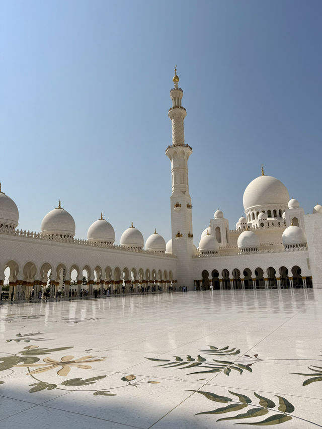 Abu Dhabi Moments🌴 Abu Dhabi Moments🌴