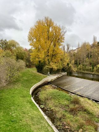秋雨與阿爾卡薩爾的景致