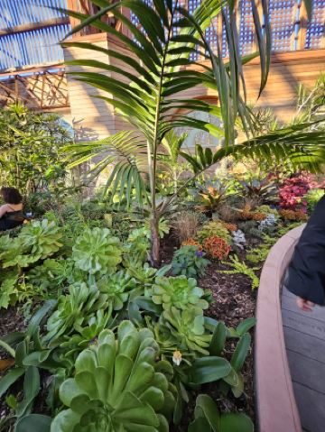 Obsessed with San Diego Botanic Garden in Encinitas