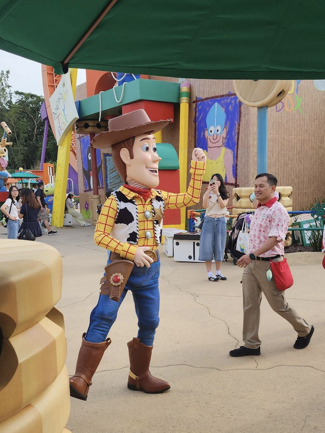 ✨ Theming, Detail, and Imagination Everywhere 🏰🎇