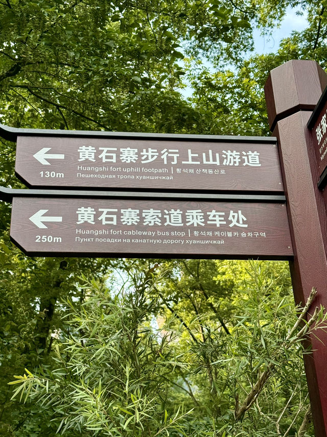 Макаки 🐒 ждут Вас в Национальном парке Чжанцзяцзе ✨ 