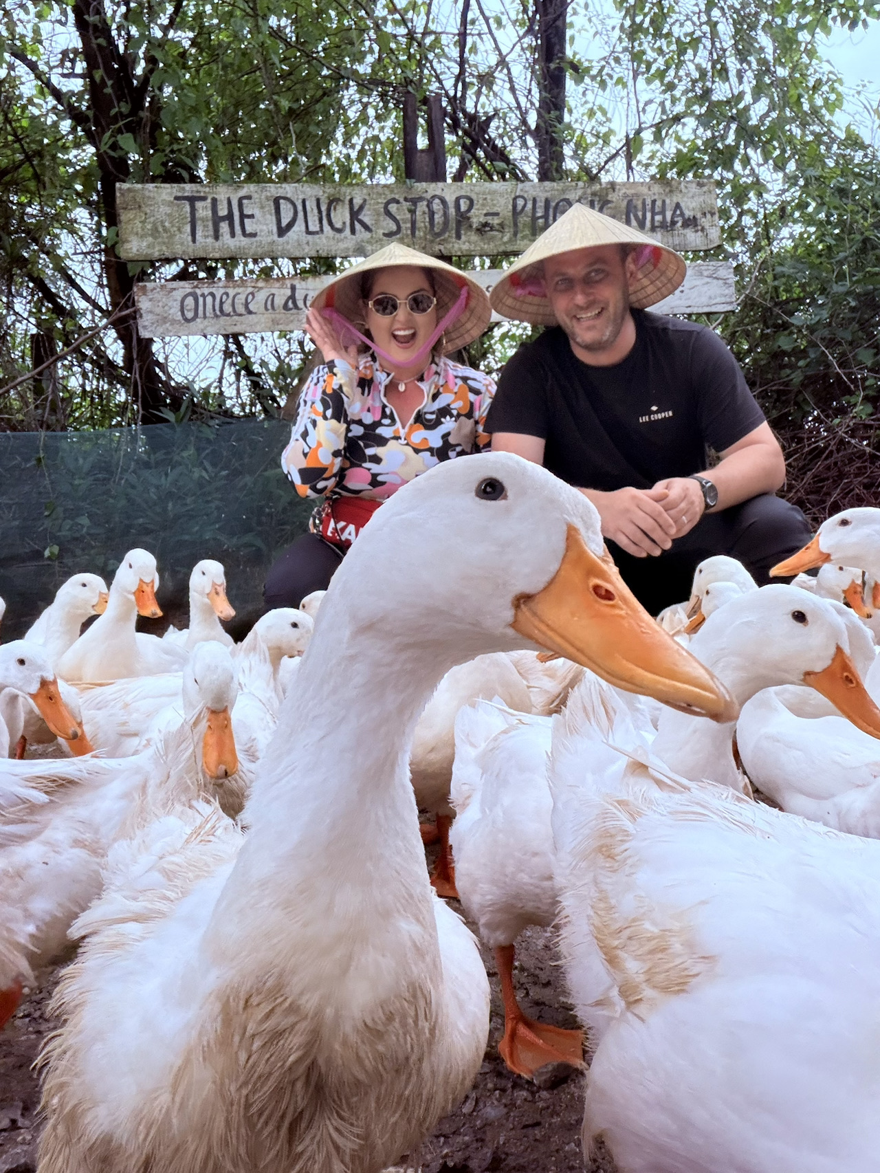 
#duck_stop 🦆
#phong_nha 🇻🇳🏞️
#vietnam 🇻🇳
#travelwithramonessa 🌍

What the duck?! 🦆
😅😅

Our last day in Phong Nha started gently, with a ride through the National Park, where nature seemed to wave goodbye one last time. Fresh air, endless shades of green, and that deep silence that stays with you long after you leave. 🌱
Then came a memorable stop at Duck Stop — a place where childhood comes back without asking permission. We played with the Hasli ducks, fed them, and they rewarded us with an unexpected massage and very enthusiastic duck kisses for a good few minutes. 🦆💛
A funny, unique, and absolutely adorable experience.
After Duck Stop, we crossed the famous Monkey Bridge, step by step, with smiles on our faces and adrenaline in our veins. 🐒🌉
We then stopped at a local restaurant, where we enjoyed duck delicacies — simple, authentic, and full of Vietnamese flavor. 🍽️🦆
After all this adventure, we headed toward Hanoi, the vibrant and lively capital, where the next 5 days await us — ready for new stories, beautiful chaos, and fresh emotions. ✨🏙️

#PhongNha #Vietnam #DuckStop #Adventures #TravelLife #Hanoi #travelwithramonessa 🌍 