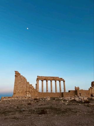 ปาลไมรา วันเดอร์ 🏛️