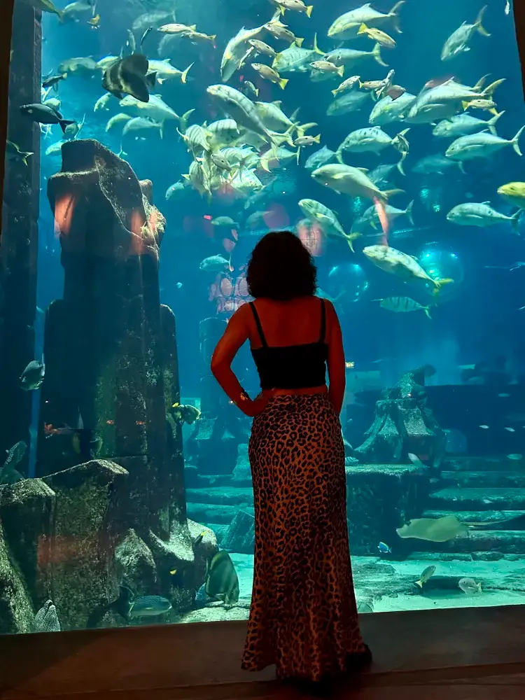 水中世界への旅。