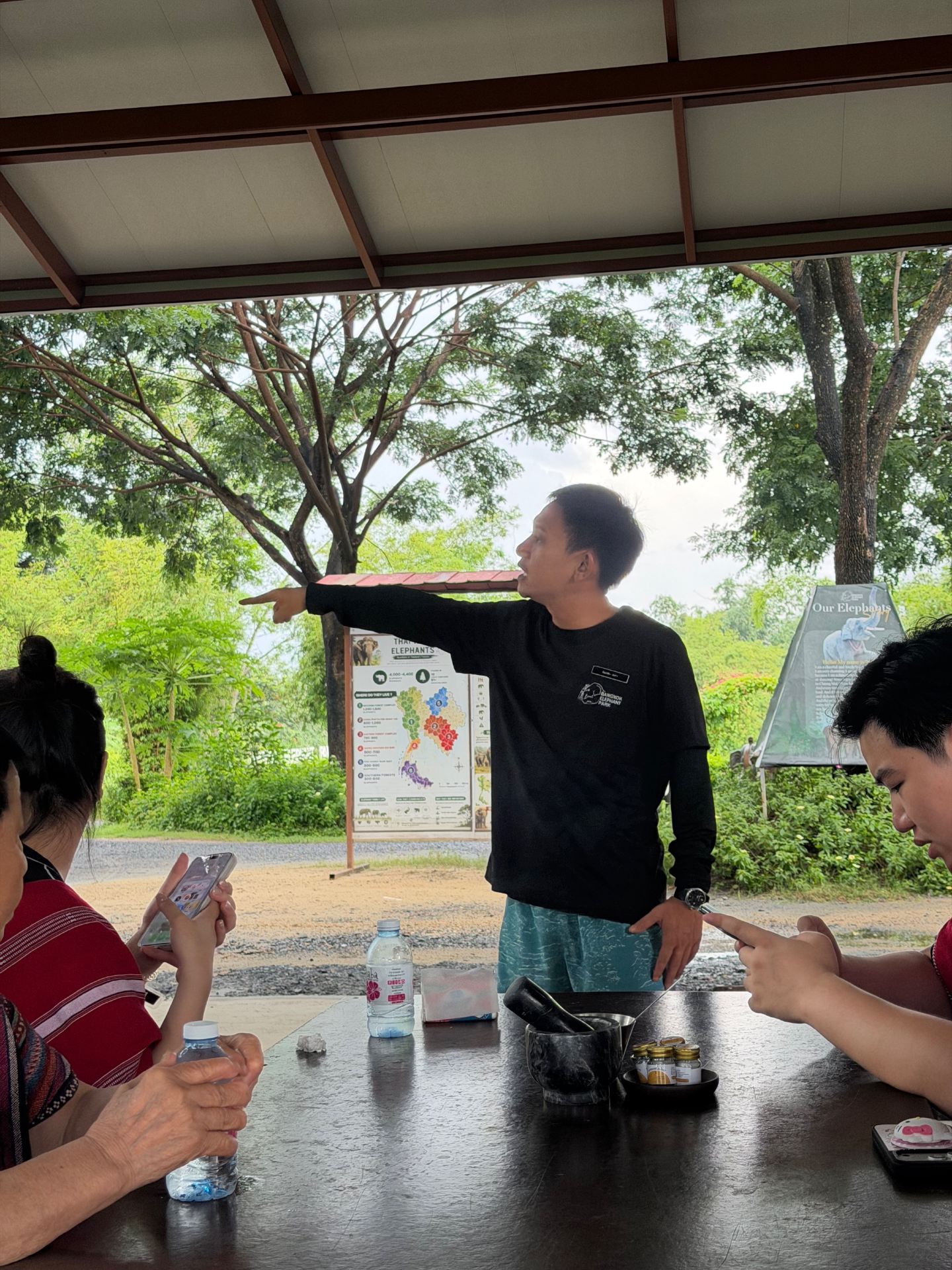 Bangkok Elephant Camp – A family-friendly, fully equipped, and therapeutic experience offering close interaction with elephants.