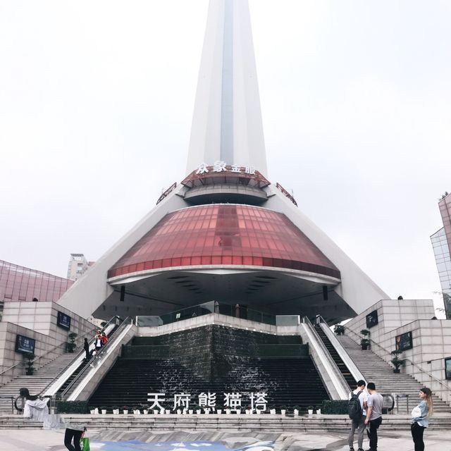 Enjoy the view of Chengdu🤩Tianfu Panda Tower