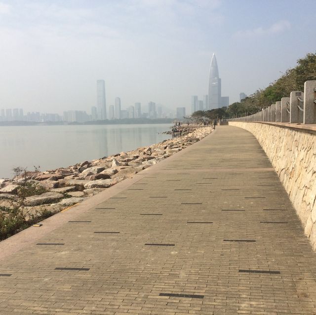 The Bay Park of Shenzhen!
