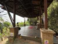 Chiang Mai's beautiful hike to Wat Pha Lat temple