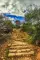 Colton678_Powell