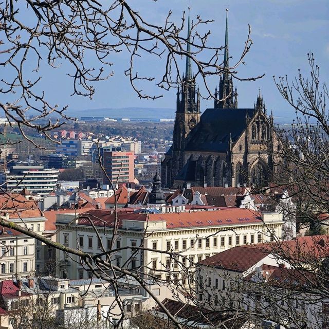 Cathedral of Saints Peter and Paul | Brno 