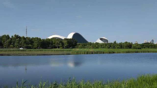 哈爾濱文化中心濕地公園
