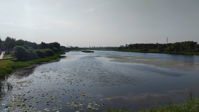 哈爾濱文化中心濕地公園