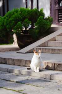 揚州大明寺，鑒真和尚曾在這裡做住持