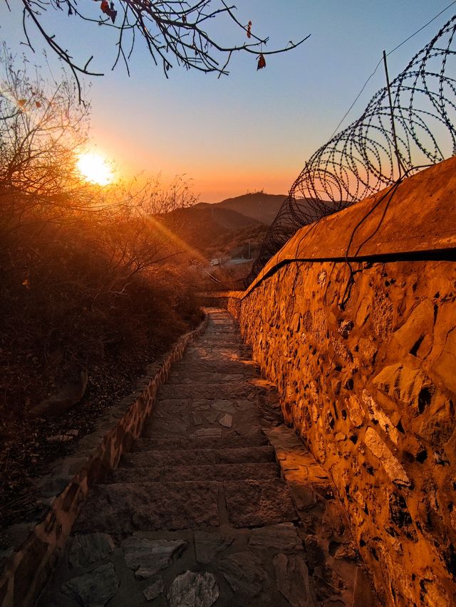 峰主巡山之晨曦灑滿大地——