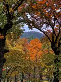 還去什麼京都都來蘇州天平山吧