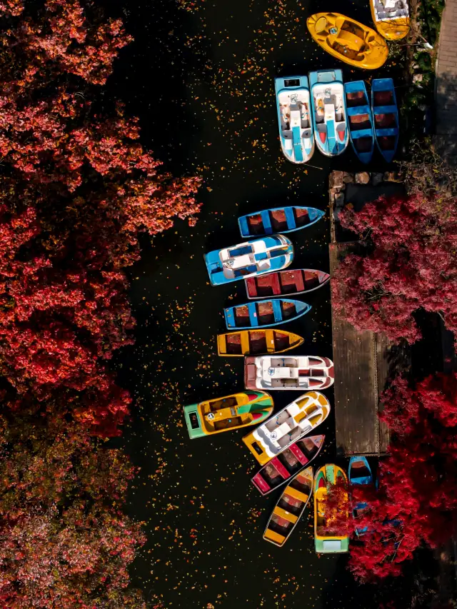 December steps into the oil painting of Changshu | Yushan Park, where God's palette is overturned