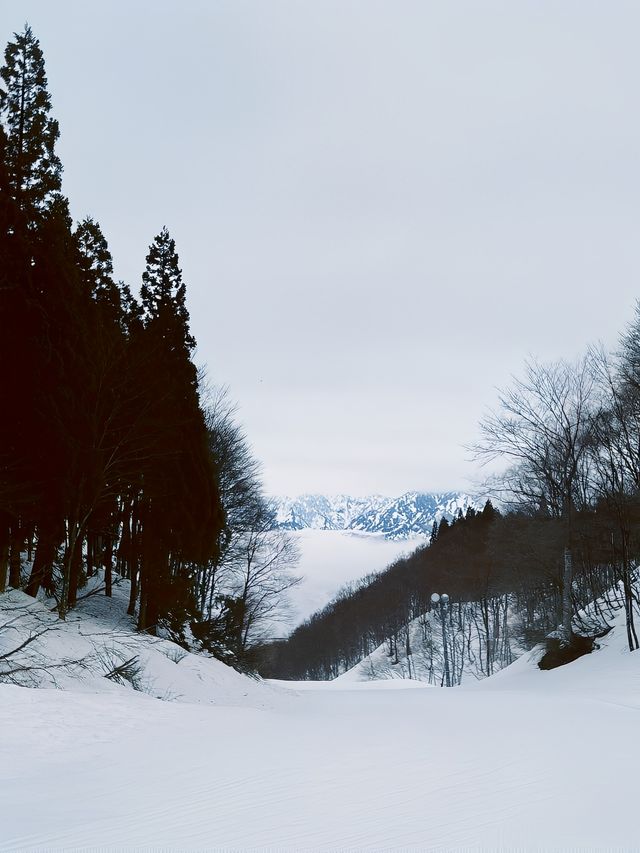 日本滑雪好去處——GALA湯澤滑雪場