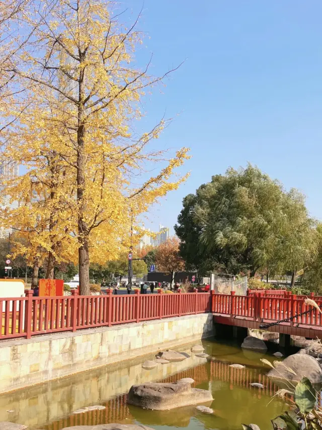 A small and beautiful park in the magic city