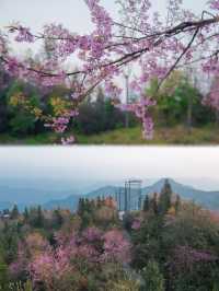 貴州黔西南版“奧陶紀”萬重山，懸崖秋千打卡佳地