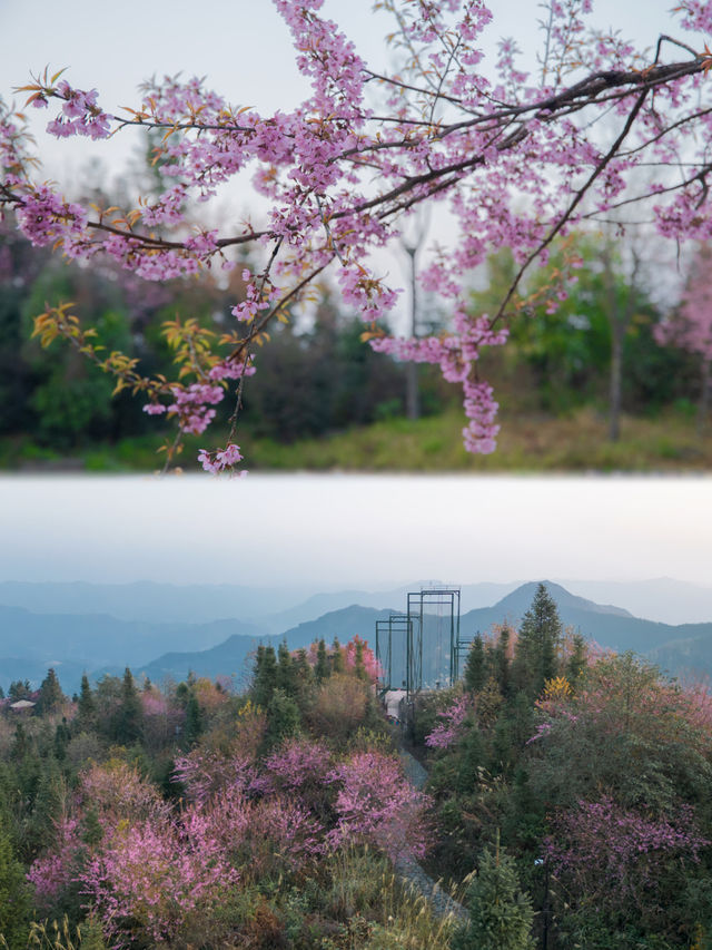 貴州黔西南版“奧陶紀”萬重山，懸崖秋千打卡佳地