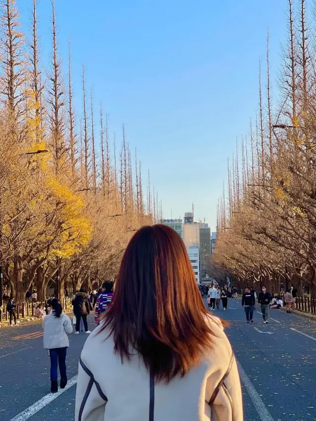 Tokyo autumn is so beautiful 🍁🍁🍁 🇯🇵