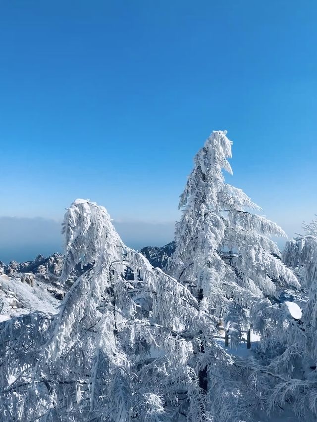 巨峰霧凇