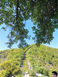 梧桐山 | 深圳“鵬城第一峰”一日遊玩法攻略