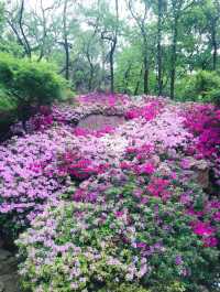 東北最具特色的山水園林莊園——達州市渠縣碧瑤莊園